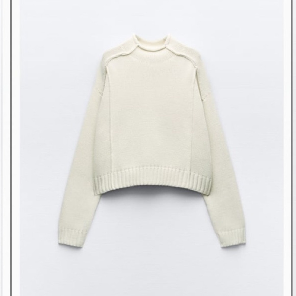 Zara roll neck sweater